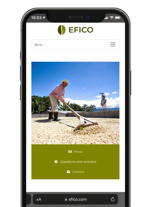 Website Efico